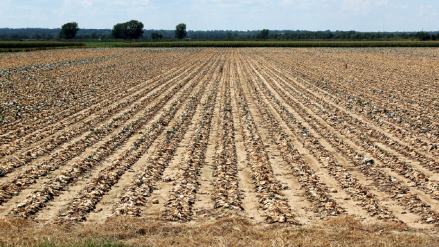 Poljoprivrednici traže subvencije kao pomoć