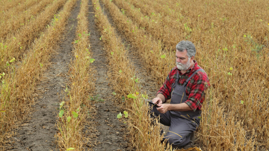 Zadnji dan za podnošenje zahtjeva za podmjeru 17.1. je 31. siječnja