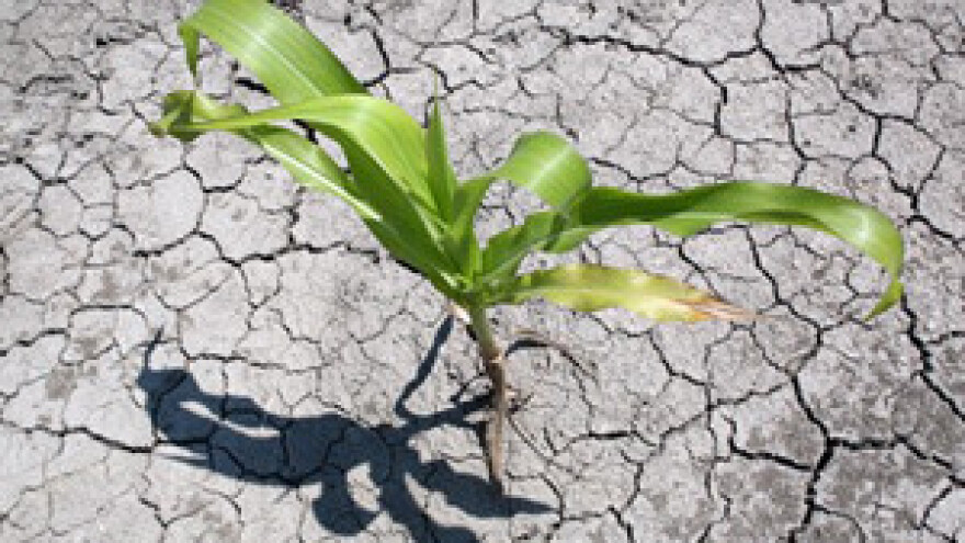 Navodnjavanjem protiv suše