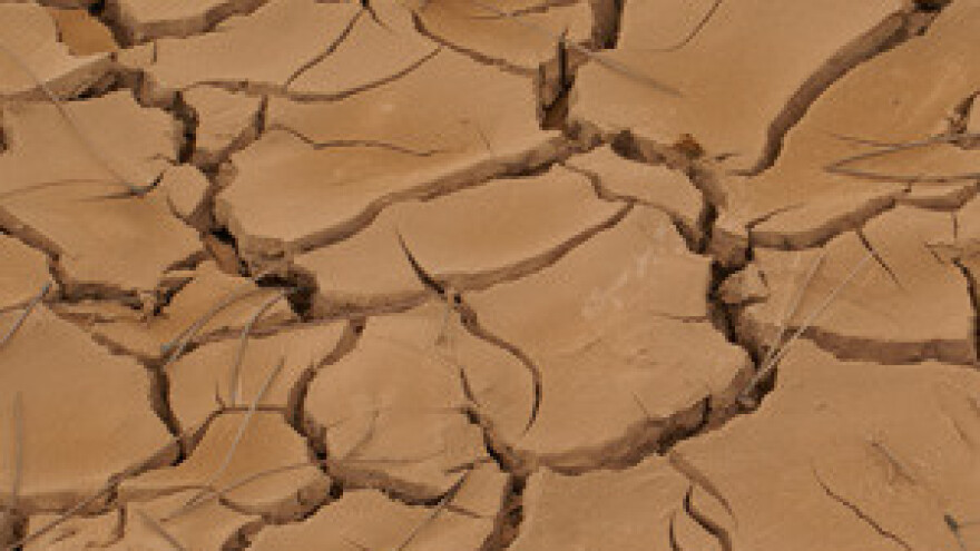 U Sinjskom polju kanali prazni, povrtlari bez vode