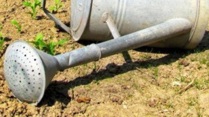 Elementarna nepogoda za poljoprivredu