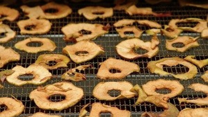 Projektom do sušare