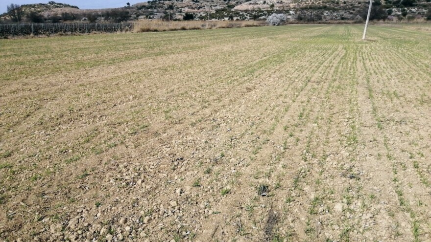 Suša u Španiji: Rezerve vode nestaju, uhapšeni zbog ilegalnih bunara, organiziraju se protesti