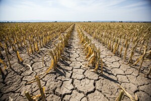 Suše, poplave, tuče odnose nam milijarde kuna