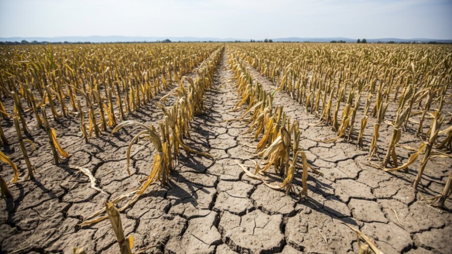Suše, poplave, tuče odnose nam milijarde kuna