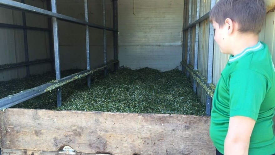 Petrokemija i Podravka nisu strateške tvrtke?