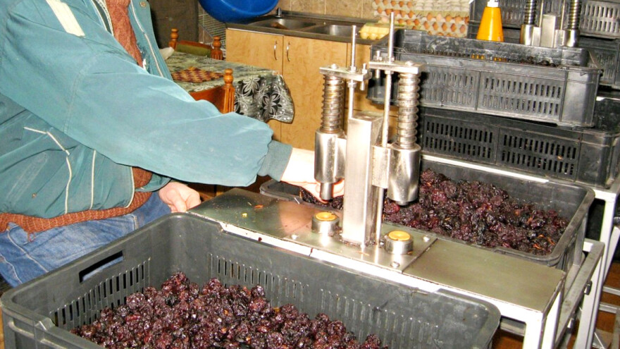 Sušena šljiva: Koju sortu odabrati i kako treba da izgleda?