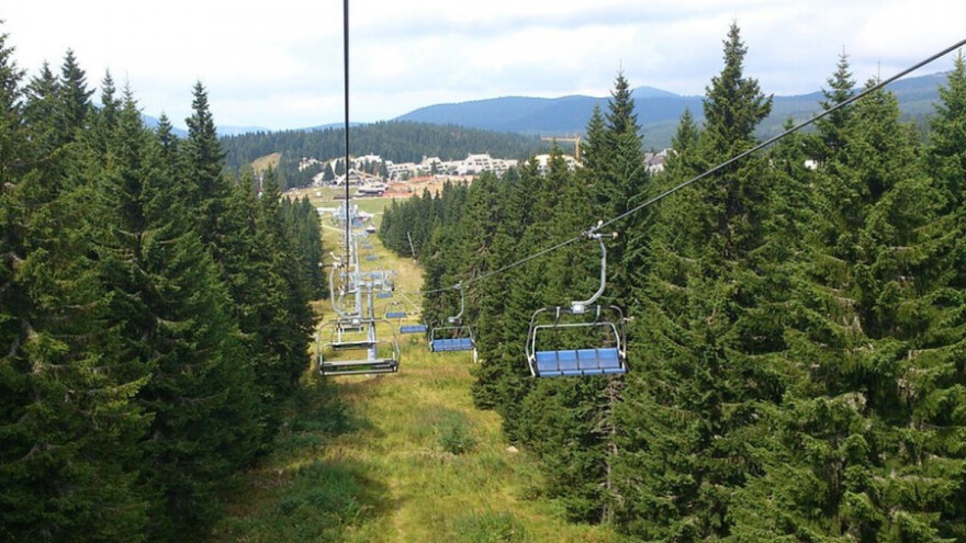 Sušenje - epidemija koja ugrožava šume
