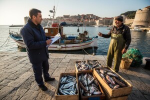 Sustav kontrole provođenja ZRP-a