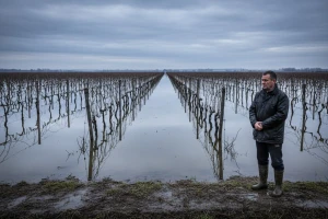 Sustav obrane od poplave za nadinske vinograde