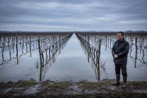 Sustav obrane od poplave za nadinske vinograde