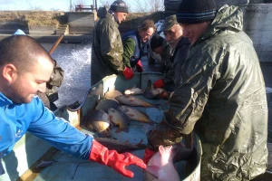 Ribnjak u Sutjesci  - jedan od lidera ribarstva