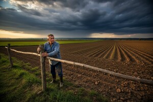 Sutra u Saboru rasprava o novom zakonu o poljoprivrednom zemljištu