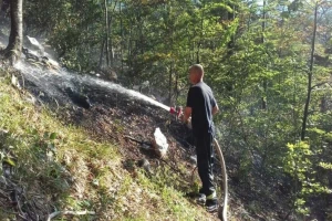 Nezakonita seča i dalje prolazi nekažnjeno