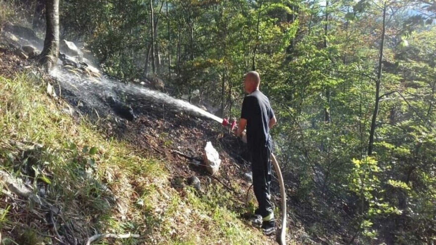 Nezakonita seča i dalje prolazi nekažnjeno