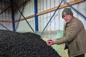 Ivan na lageru ima 25 tona suve šljive, ali nema kome da je proda