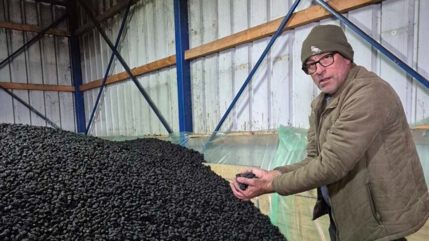 Ivan na lageru ima 25 tona suve šljive, ali nema kome da je proda