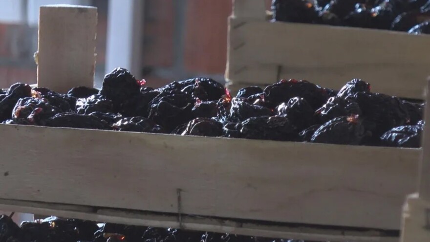 Topolsku suvu šljivu najviše vole Francuzi