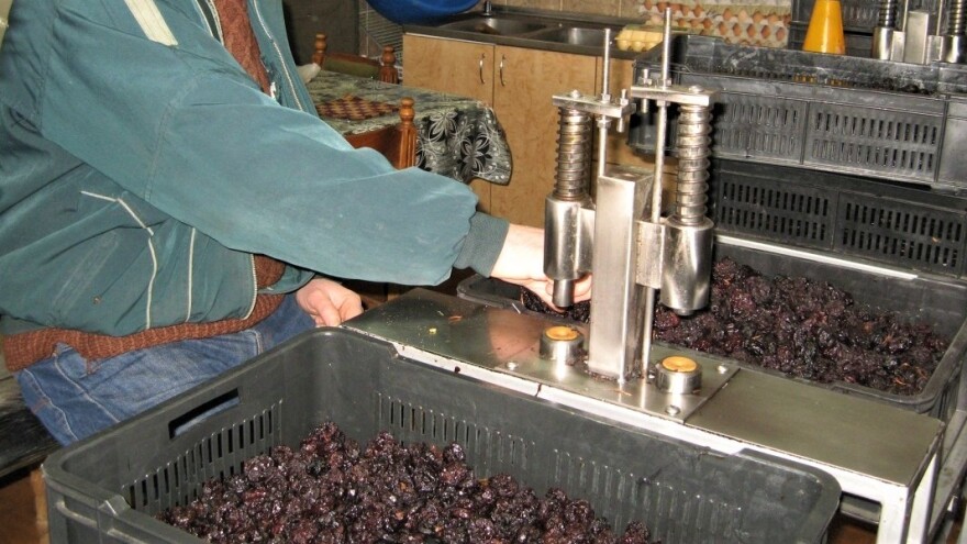 Proizvedene male količine suve šljive, ali je zato cena visoka?