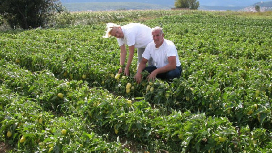 Medicinska sestra i uspješna poljoprivrednica