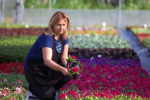 Na OPG-u Benjamin proizvede se 70.000 komada cvijeća, a što im traže za Valentinovo?