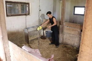 Suzana sama vodi brigu o farmi svinja, a nerijetko sjede i za traktor