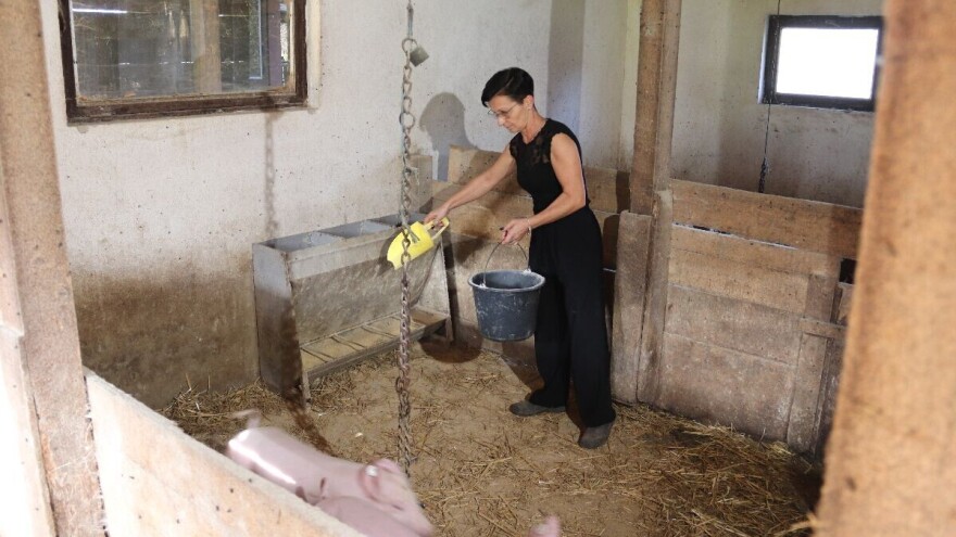 Suzana sama vodi brigu o farmi svinja, a nerijetko sjede i za traktor