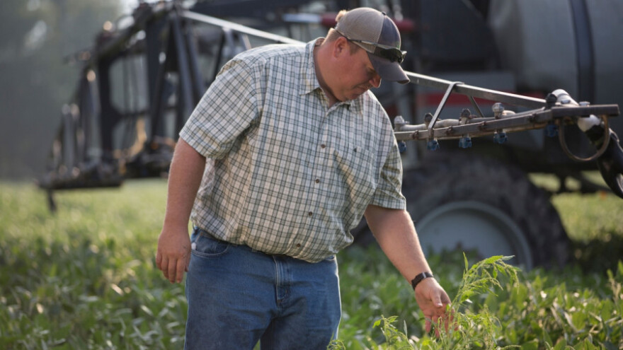 Vreme je za suzbijanje korova!