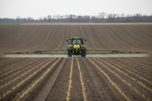 Suzbijanje korova u kukuruzu