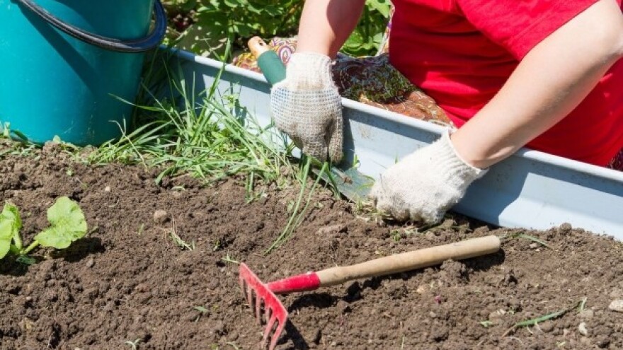 Kako se riješiti neprijatelja bašte - korova?