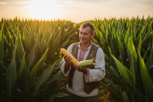 Svaka čast domaćine