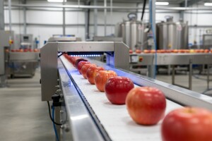 Svaka jabuka pod skenerom