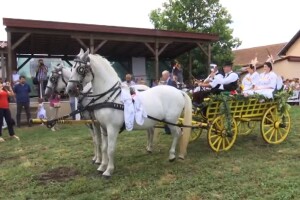 Nema sela nad Babine Grede: Manifestacija Konji bijelci objedinila ljubav, tradiciju i običaje