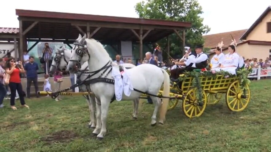 Nema sela nad Babine Grede: Manifestacija Konji bijelci objedinila ljubav, tradiciju i običaje