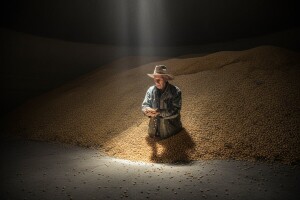 Sve niže cene na berzi