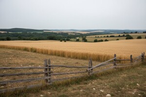 Sve se manje proizvodi u Evropi, Francuska vodi