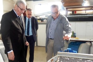 Slobodne površine staviti u funkciju proizvodnje