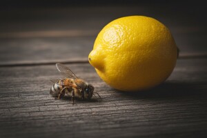 Sve veća upotreba pesticida