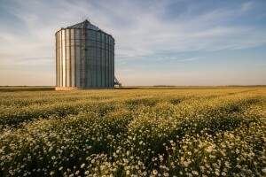 Sve više ekoloških proizvoda, a nemamo ekološkog silosa