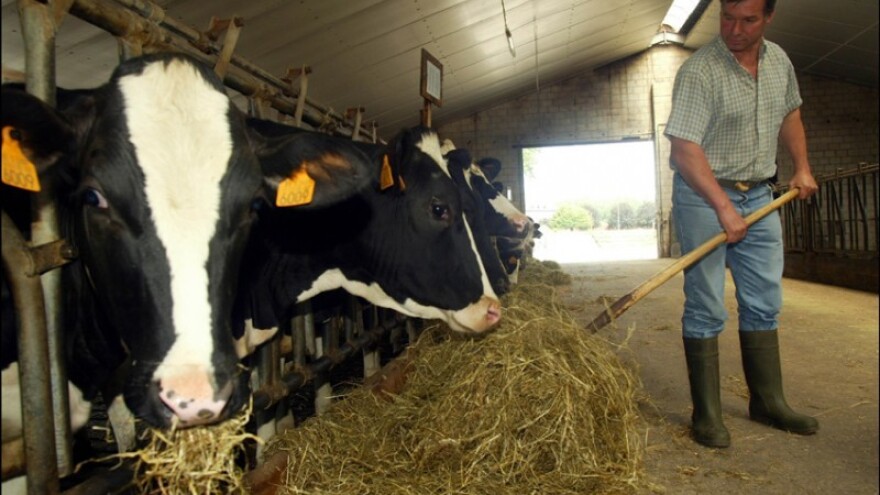 I švedski mljekari traže pomoć!