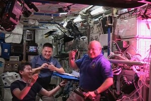 Astronauti uzgojili zelenu salatu u svemiru - rezultati iznenađujući