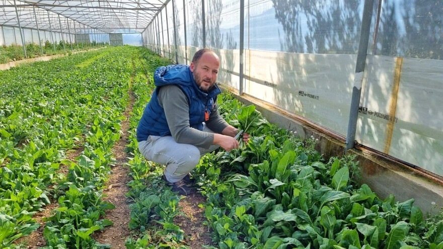 Izigran za posao u gradu - Svemir Žepina osigurao si egzistenciju u opustjelom selu