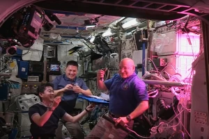 Astronauti proizveli zelenu salatu u svemiru - rezultati iznenađujući