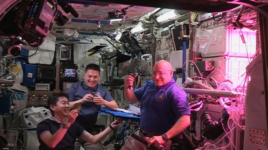 Astronauti proizveli zelenu salatu u svemiru - rezultati iznenađujući