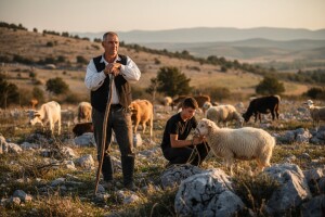 Svetozar Birkić iz Medviđe najbolji stočar grada Benkovca