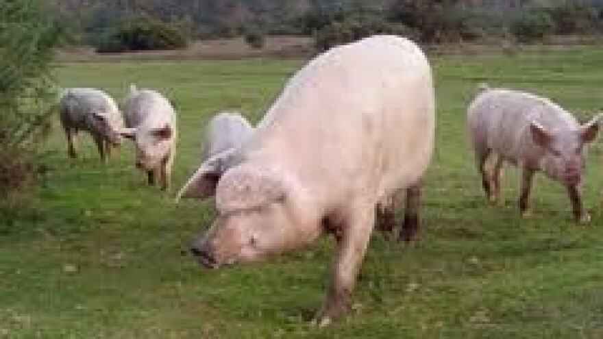 Priča o klasteru blizu sretnog završetka