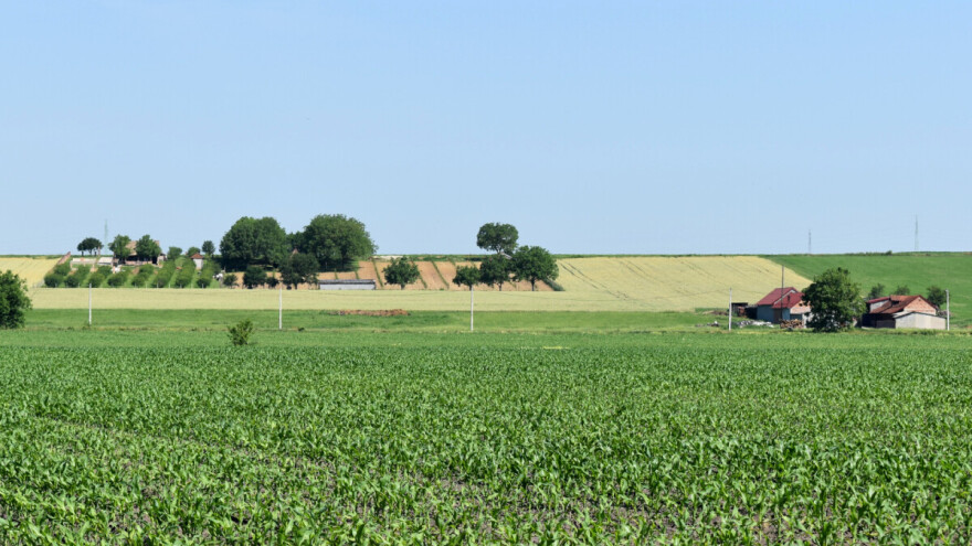 Barem jedna od sljedećih pet godina bit će najtoplija ikada zabilježena?
