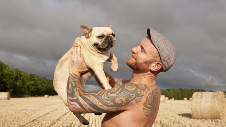 Ogoljeni irski ruralni šarm na kalendaru za 2018.!