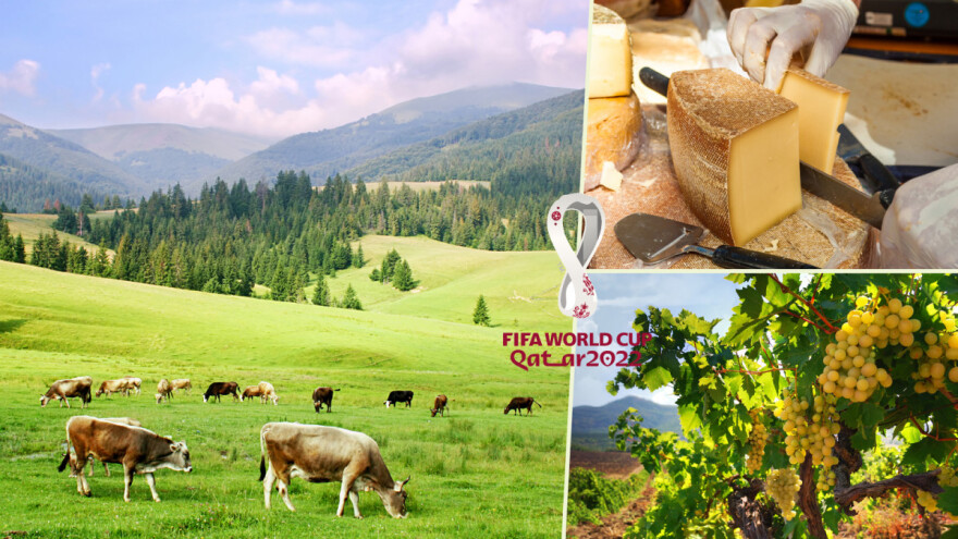 Švicarska ima kravu za "ambasadora" - poznata je po siru, ali i vinogradima