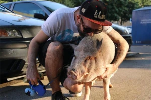 Neobičan ljubimac: Živi u stanu sa svinjom od 65 kilograma